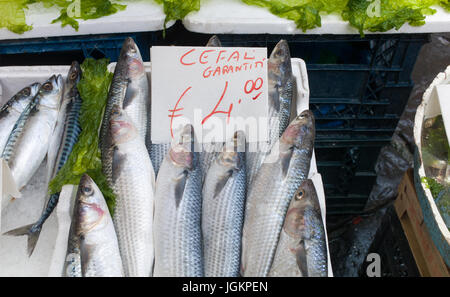 Mediterranean fish exposed in open market in Napoli Stock Photo