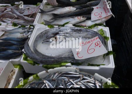 Mediterranean fish exposed in open seafood market Stock Photo