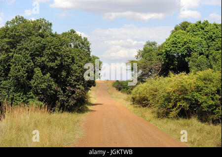 Road in savannah in the National park of Kenya, Africa Stock Photo