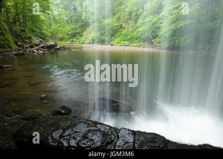 Sgwd Gwladus (Lady's Falls) waterfall on the Afon Pyrddin in the Bannau Brycheiniog (Brecon Beacons) National Park near Pontneddfechan, Powys, Wales. Stock Photo