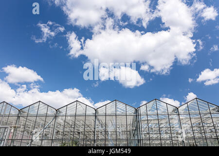 large agricultural greenhouse glass facade against blue cloudy sky Stock Photo