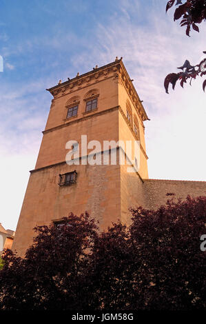 Condes de Gomara Palace in Soria, Castilla Leon, Spain Stock Photo