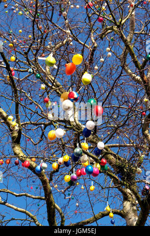 Nature, tree, trees, trees, plant, plants, branch, branches, meet brightly, coloured, eggs, Easter eggs, Easter, party, Easter party, jewellery, Easte Stock Photo