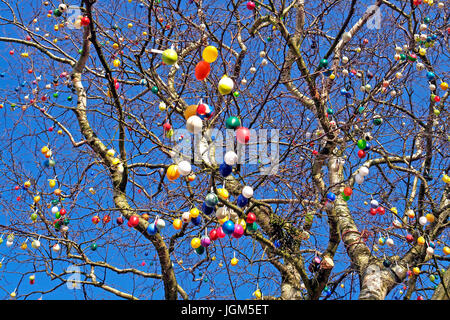 Nature, tree, trees, trees, plant, plants, branch, branches, meet brightly, coloured, eggs, Easter eggs, Easter, party, Easter party, jewellery, Easte Stock Photo