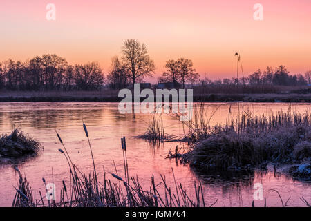 Houses near Kalenberg during sunrise in wintertime with snow, trees and lake in National Park De Weerribben-Wieden in The Netherlands. Stock Photo