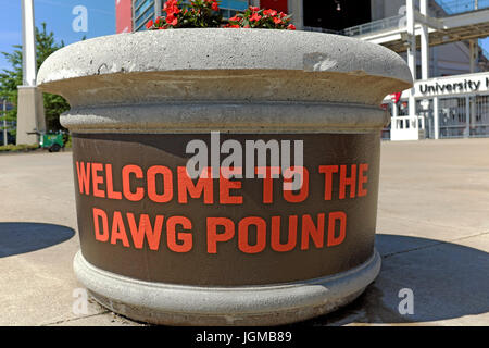 How The The Dawg Pound Was Formed In Cleveland