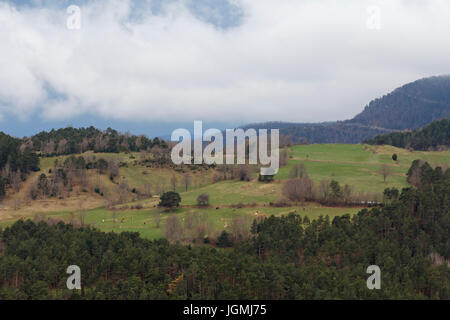 Green landscape in a foggy morning Stock Photo