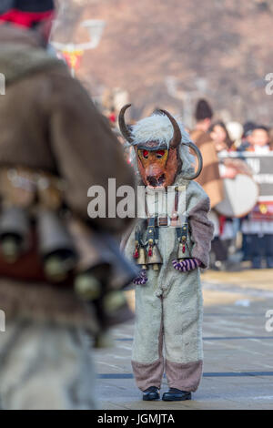 PERNIK, BULGARIA - JANUARY 27, 2017: Boy, a sad young participant in the carnival is wearing a scary white fur costume with leather mask and is lookin Stock Photo