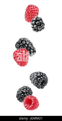 Isolated berries. Falling blackberry and raspberry fruits isolated on white background with clipping path Stock Photo