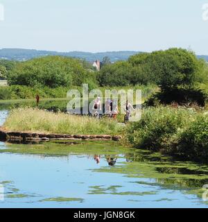 Cyclist enjoying a ride alongside the exeter canal Stock Photo