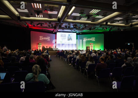 London, UK. 8th July, 2017. Mariam Barghouti, Palestinian-American writer and commentator, addresses a session of Palestine Expo entitled 'From Balfour to Apartheid'. 2017 marks the centenary of the Balfour Declaration. Credit: Mark Kerrison/Alamy Live News Stock Photo