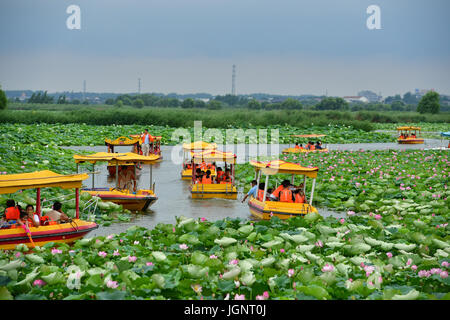 Zhengzhou, China's Henan Province. 9th July, 2017. Tourists take boat to watch lotus flowers in the Longhu Lake in Huaiyang County, central China's Henan Province, July 9, 2017. Credit: Feng Dapeng/Xinhua/Alamy Live News Stock Photo