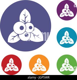 Cranberry icons set Stock Vector