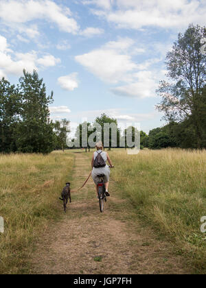 A woman on her bike in the summer with her dog running alongside Stock Photo
