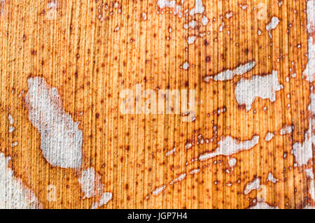 background texture rusted metal pattern Stock Photo