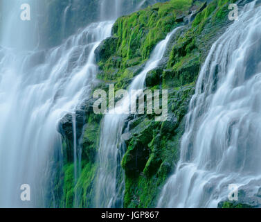 USA, Oregon, Willamette National Forest, Three Sisters Wilderness, Lower Proxy Falls displays multiple cascades as it descends a mossy cliff of column