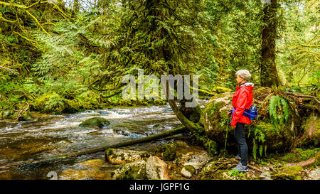 Woman looking at the fast flowing Kanaka Creek when hiking through the temperate forest of Kanaka Creek Regional Park,Maple Ridge, British Columbia Stock Photo