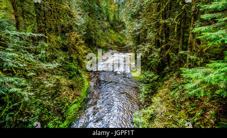 Rocks, trees and boulders in the Salmon habitat of a fast flowing Kanaka Creek in Kanaka Creek Regional Park near Maple Ridge British Columbia, Canada Stock Photo