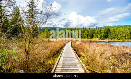 Boardwalk along Rolley Lake in Rolley Lake Provincial Park near the town of Mission in beautiful British Columbia, Canada Stock Photo