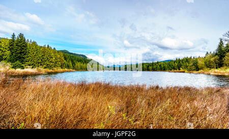 Rolley Lake in Rolley Lake Provincial Park near the town of Mission in beautiful British Columbia, Canada Stock Photo