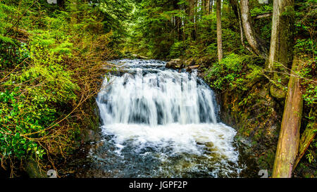 Upper Rolley Falls in the temperate rain forest of Rolley Lake Provincial Park near the town of Mission in British Columbia, Canada Stock Photo