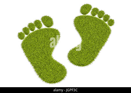 Grass human footprints, 3D rendering isolated on white background Stock Photo