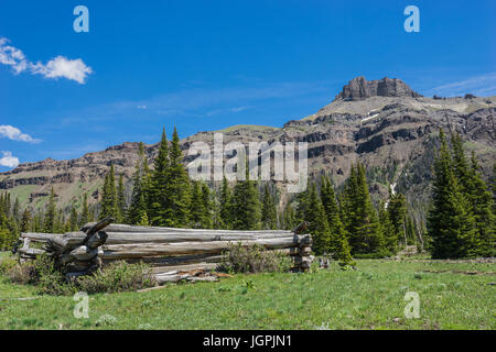 Wooden logs of a wilderness cabin sit in a meadow surrounded by pine forest. Stock Photo