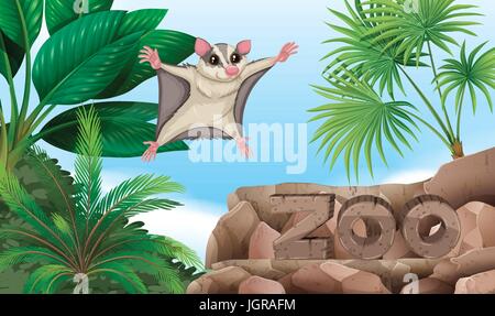 Sugar glider flying over the zoo sign illustration Stock Vector