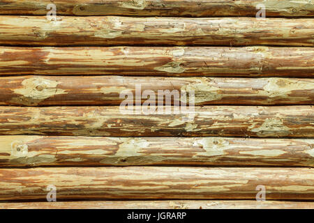 Log Cabin Or Barn Unpainted Debarked Wall Textured Horizontal Background With Copy Space Stock Photo
