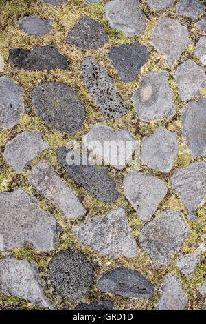 Rock and grass texture Stock Photo