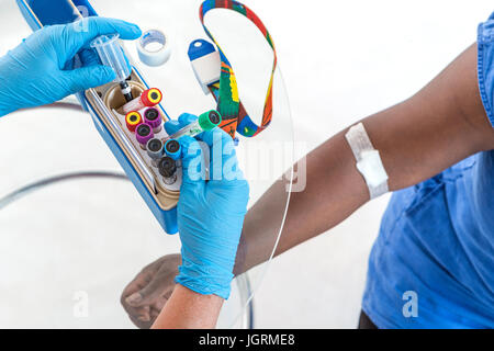 hands of nurse organising her bloods test tubes box for laboratory with patient arm on background Stock Photo