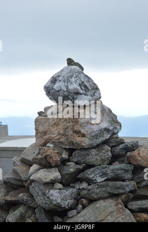 The summit of Mount Washington in the White Mountains, New Hampshire ...