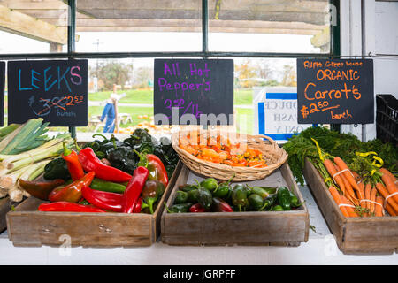 Display of Leeks, Hot Peppers, and Organic Carrots with Signs with Prices in Old Farm Roadside Stand