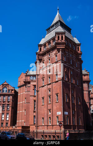 University College London, Gower Street, London, England, U.K. Stock Photo