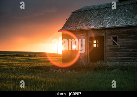 An old barn stands alone in the middle of the Alberta prairies from a time long past,  washed in a brilliant blanket of color as the summer sun sets. Stock Photo
