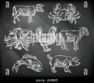 Food Groups Chalk Hand Drawn Animal Icons Stock Vector