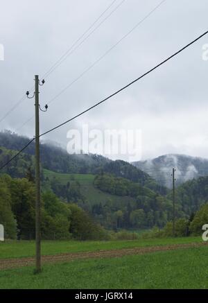 Power lines in the rainy, lush green countryside Stock Photo