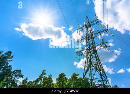 Summer landscape picturesque green forest with green trees power lines passing through them Stock Photo