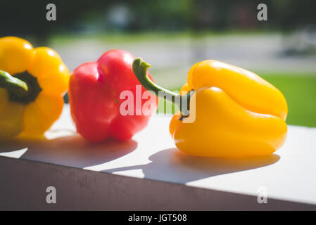 Red and yellow peppers sit on a counter in the sunlight. Stock Photo