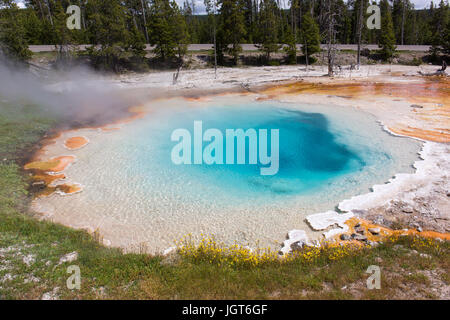 Silex Spring in the Lower Geyser Basin as seen from the Fountain Paintpot Trail, Yellowstone National Park Stock Photo