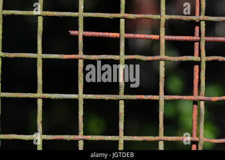 old weather-beaten metal fence Stock Photo