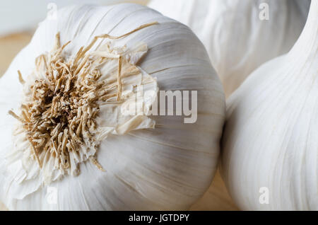 Macro shot of three raw and unpeeled garlic bulbs, with foremost bulb tipped over, showing roots on its underside. Stock Photo