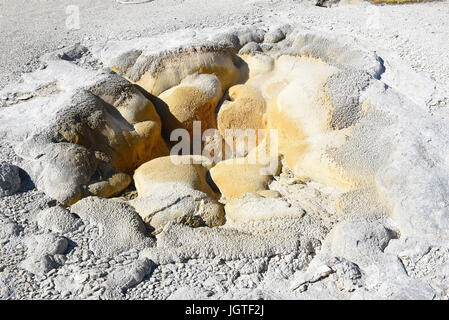 Shell Spring in the Biscuit Basin area of the Upper Geyser Basin in Yellowstone National Park, Wyoming. Stock Photo