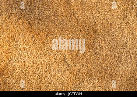 Close up of an orange carpet as a background from above Stock Photo