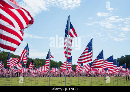 American Flags Blowing in the Wind Stock Photo