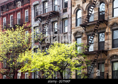 Sunlight shines on trees in front of historic old buildings on 3rd Avenue in the East Village of Manhattan, New York City NYC Stock Photo