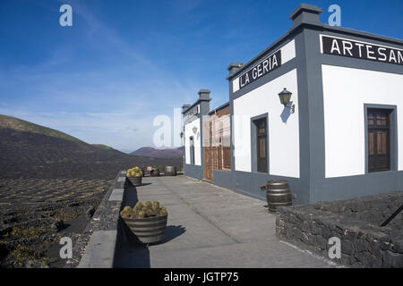 Bodega La Geria, wine tasting and wine for sale, winery at La Geria, Lanzarote island, Canary islands, Spain, Europe Stock Photo