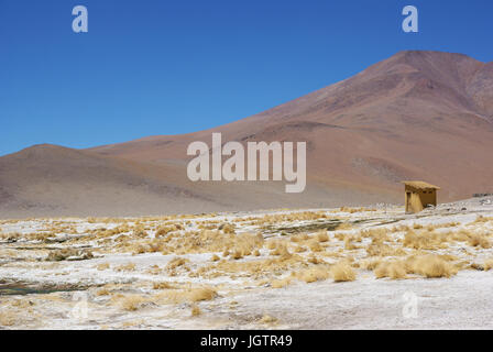 Estacion termale - Reserva nacional de fauna andina Eduardo Abaroa - Deserto do Lipez - Departamento de Potosi - Provincia Sud Lipez - Bolivia ATENÇÃO Stock Photo