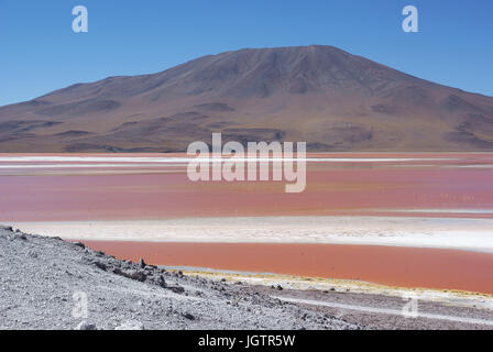 Laguna Colorada - Reserva nacional de fauna andina Eduardo Abaroa - Deserto do Lipez - Departamento de Potosi - Provincia Sud Lipez - Bolivia ATENÇÃO: Stock Photo