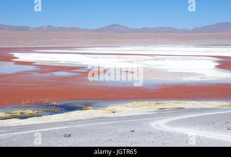 Laguna Colorada - Reserva nacional de fauna andina Eduardo Abaroa - Deserto do Lipez - Departamento de Potosi - Provincia Sud Lipez - Bolivia ATENÇÃO: Stock Photo